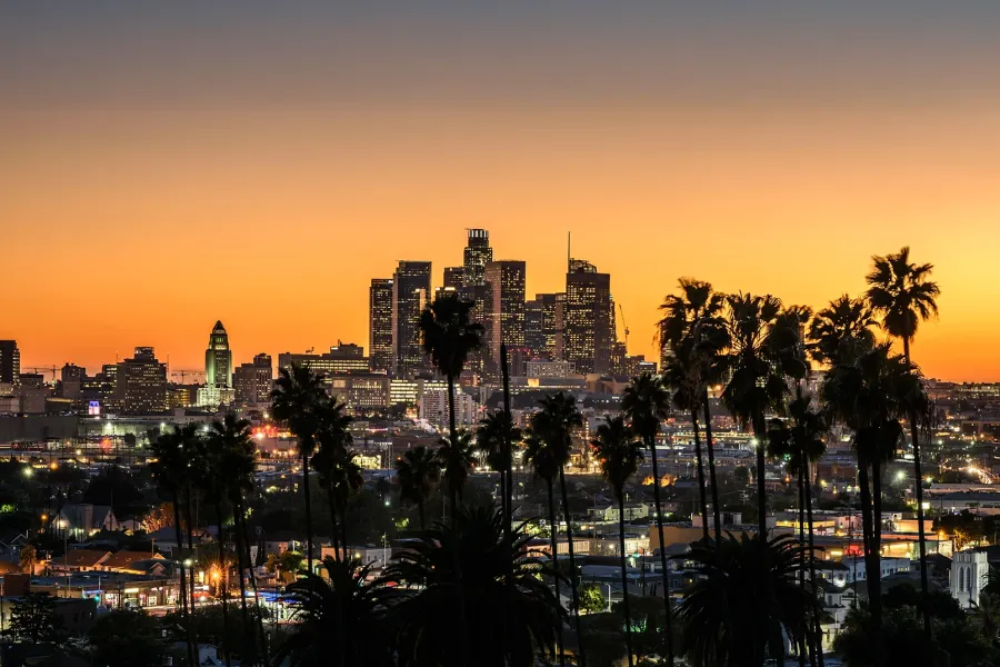 cityview of downtown los angeles with palm trees in foreground
