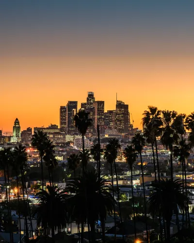 cityview of downtown los angeles with palm trees in foreground